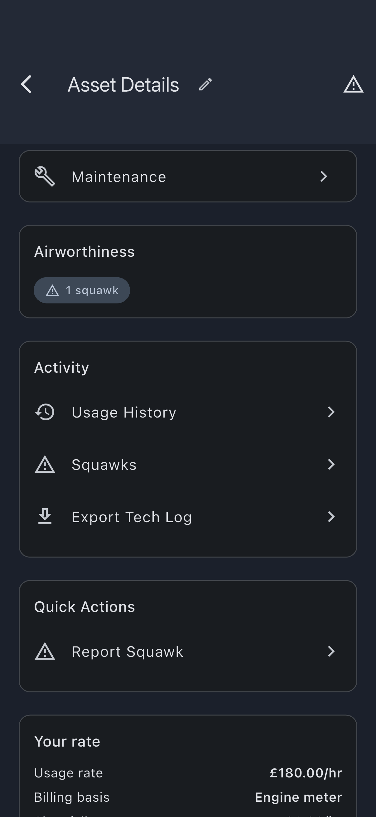 The Activity card on the aircraft's detail screen, listing Usage History, Squawks and the admin-only Export Tech Log row