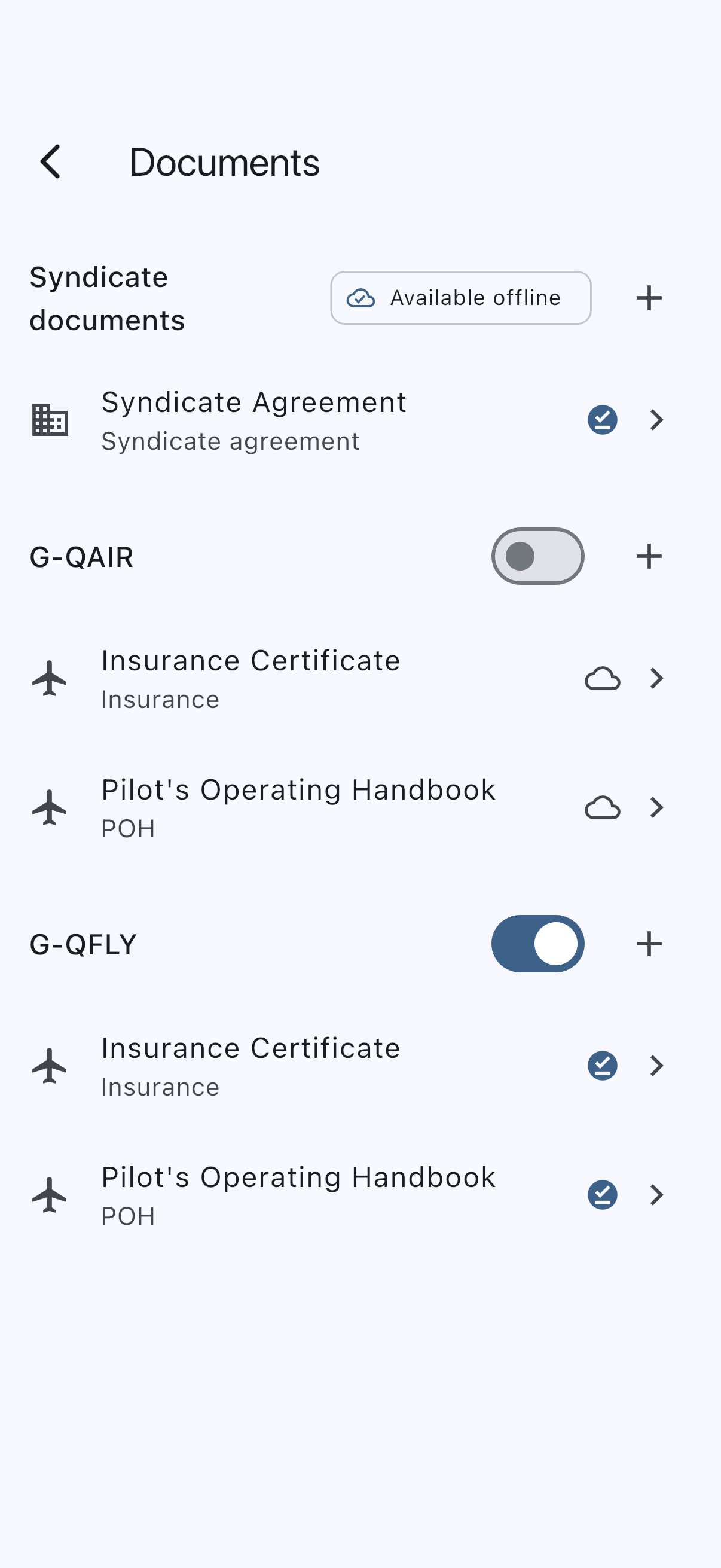 The document library of a two-aircraft syndicate, each aircraft section header carrying an unlabelled switch, one turned off and one turned on